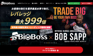 BigBoss公式トップ画面